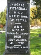 Fitzgerald, Thomas and Ann